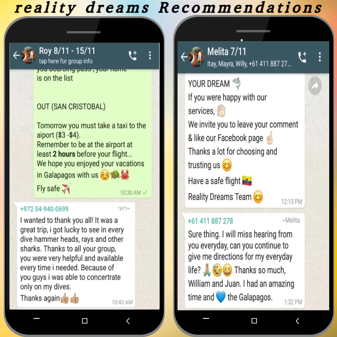 אוסף הודעות והמלצות של מטיילים על Reality Dreams